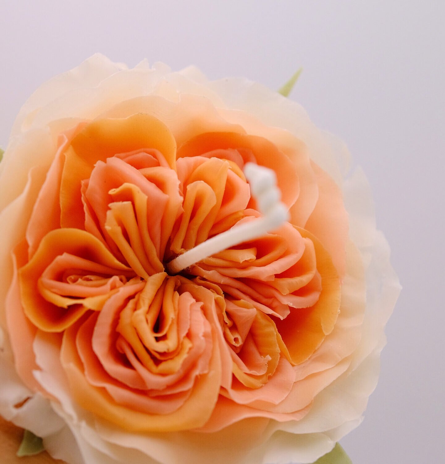 Artisan Beeswax Flower Candles-Austin Rose